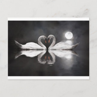 Svanromantik Vykort
