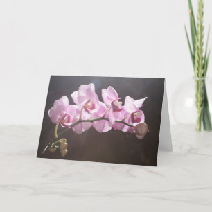 Svar till bönen kort