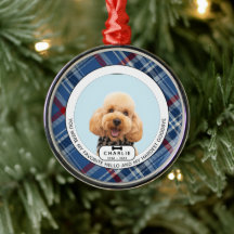 Svåraste avskedet Husdjur Minnes Glas Ornament