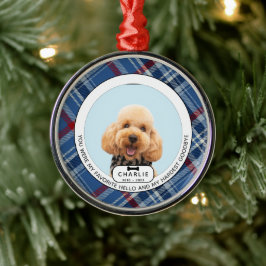 Svåraste avskedet Husdjur Minnes Glas Ornament