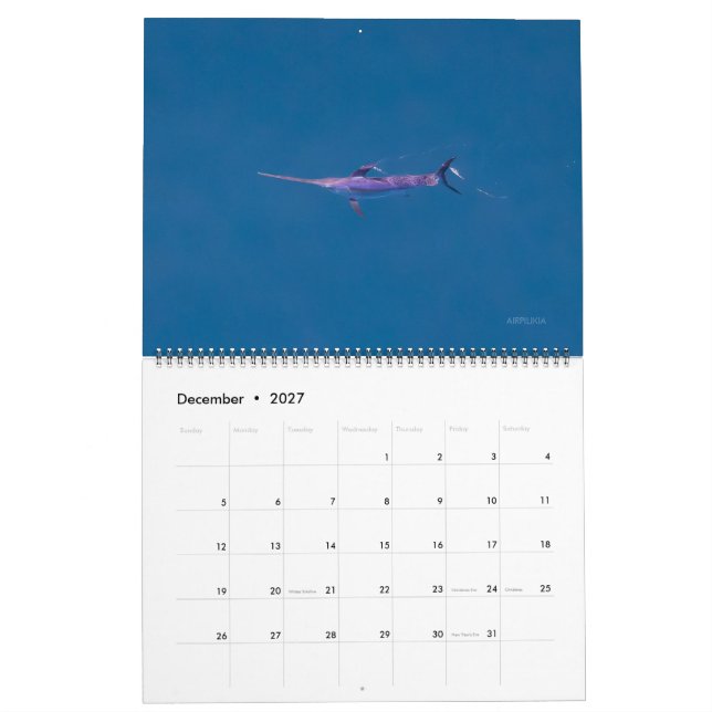 Svärdfiskkalender 2026 kalender (Dec 2027)