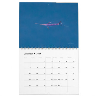 Svärdfiskkalender 2026 kalender