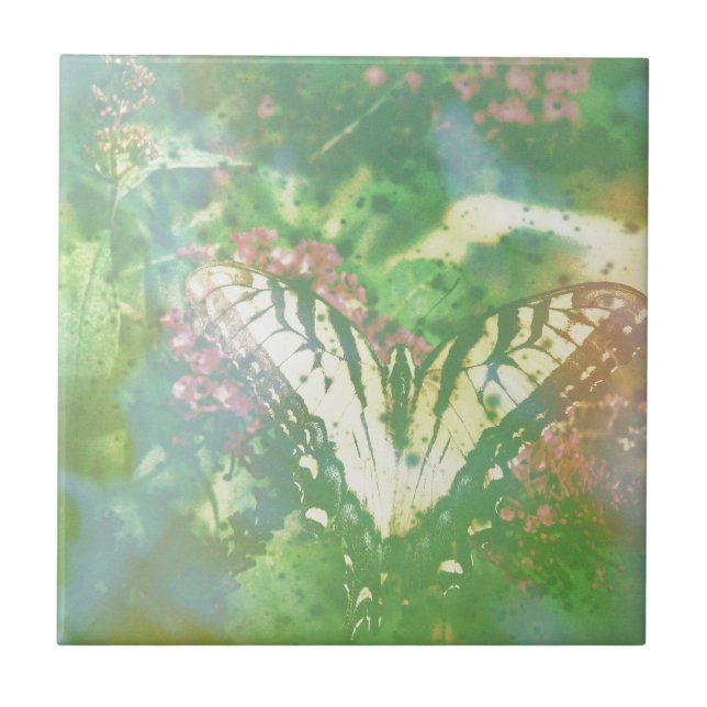 svärdfjärilsmusslaffilm har upphört att gälla kakelplatta (Framsidan)