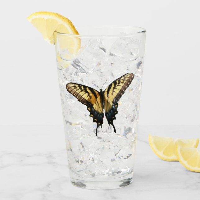 Svärdsvansfjäril III Vackert färgfoto Glaskopp (Framsida Ice)