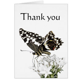 Svärdsvansfjäril Perched in white Hälsningskort