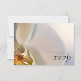 Svaret på vit Orchid Elegance Bröllop OSA