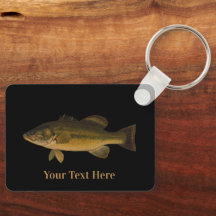 Svärgmunad Abborre Din Text Här Fisk