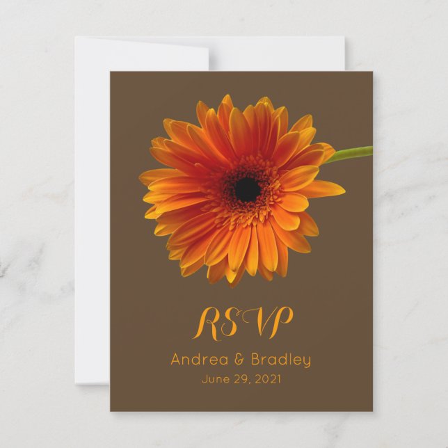 Svarskort för orange Gerbera Daisy OSA Kort (Framsida)