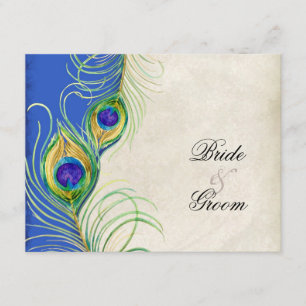 Svarskort för peacock Feathers Black Damask OSA Kort