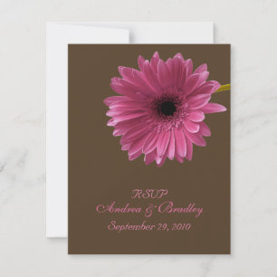 Svarskort för rosa Gerbera Daisy OSA Kort