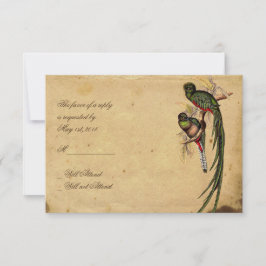 Svarskort på vintage Quetzal Bird Elegant OSA Kort