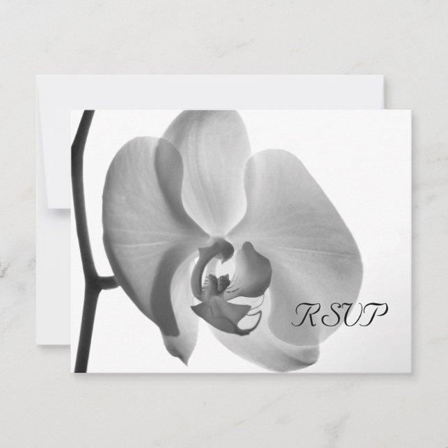 Svarskort på vit Orchid-Bröllop OSA Kort (Framsida)