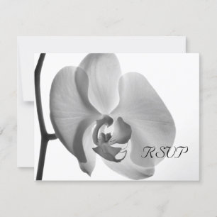 Svarskort på vit Orchid-Bröllop OSA Kort