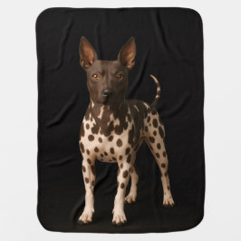 Svart 4 Luxe filt med Hairless Terrier