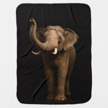 Svart 4 Luxe filt med Mäktig Elefant