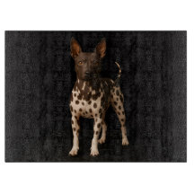 Svart 4 Luxe Glas skärbräda Hairless Terrier