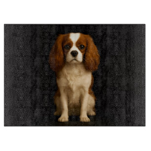 Svart 4 Luxe Glasbräda Cavalier Spaniel