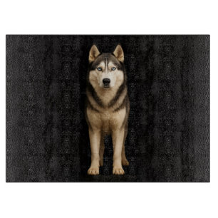 Svart 4 Luxe Glasbräda Icy Elite Husky