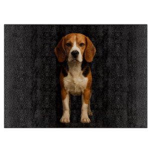 Svart 4 Luxe Glasbräda Snäll Beagle