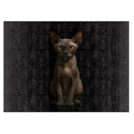 Svart 4 Luxe Glasbräda Sphynx Katt