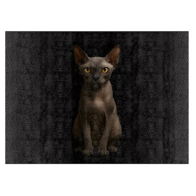 Svart 4 Luxe Glasbräda Sphynx Katt (Framsidan)