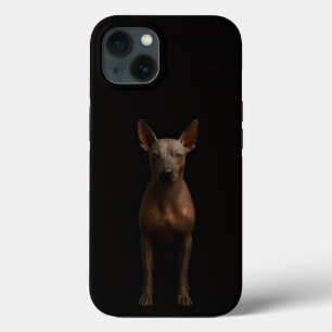 Svart 4 Luxe iPhone 13, argentinsk Pila-hund