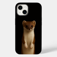 Svart 4 Luxe iPhone 14-fodral, Elegant Vessla
