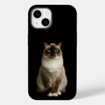 Svart 4 Luxe iPhone 14 Matt, Burmesisk Katt