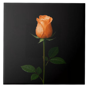 Svart 4 Luxe Kakel med Solnedgång Orange Ros