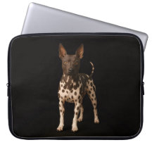 Svart 4 Luxe laptopsleeve, Hairless Terrier Hund