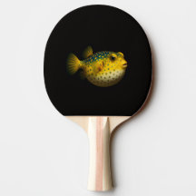 Svart 4 Luxe ping pong-paddel, Gul Putterfish