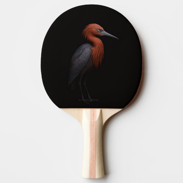 Svart 4 Luxe ping pong-paddel, Reddish Egret Pingisracket (Baksidan)