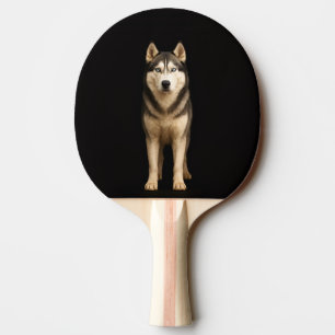 Svart 4 Luxe ping pong-paddle, Icy Elite Husky Pingisracket