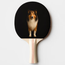 Svart 4 Luxe ping pong-paddle, Lojal Collie Hund