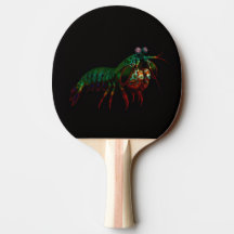 Svart 4 Luxe ping pong-paddle, Mantis Shrimp