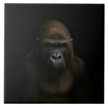 Svart 4 Luxe-platta med gorilla