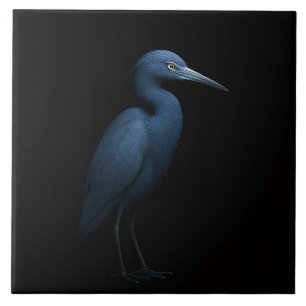 Svart 4 Luxe-platta med Little Blue Heron Kakelplatta