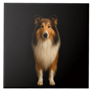 Svart 4 Luxe-platta med lojal colliehund Kakelplatta