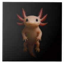 Svart 4 Luxe-platta med mexikansk axolotl
