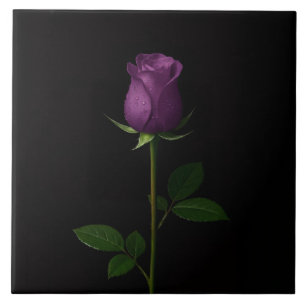 Svart 4 Luxe-platta med Royal Violet Rose Kakelplatta