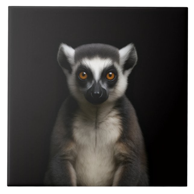 Svart 4 Luxe-platta med skonsam lemur Kakelplatta (Framsidan)