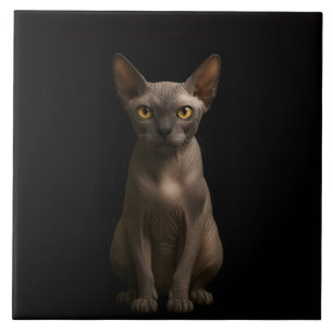 Svart 4 Luxe-platta med Sphynx-katt Kakelplatta