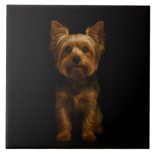 Svart 4 Luxe-platta med Yorkshire Terrier Kakelplatta