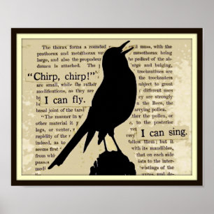 Svart affisch för bok för vintage för Crow~Sing