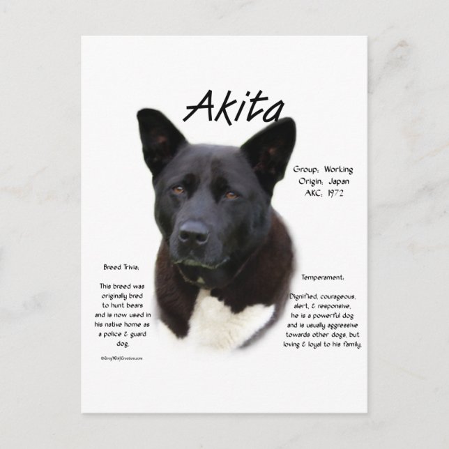 Svart Akita-historikdesign Vykort (Framsida)