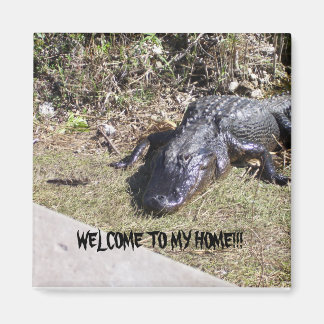 Svart Alligator Välkomnar Dig Till Hans Hem Magnet