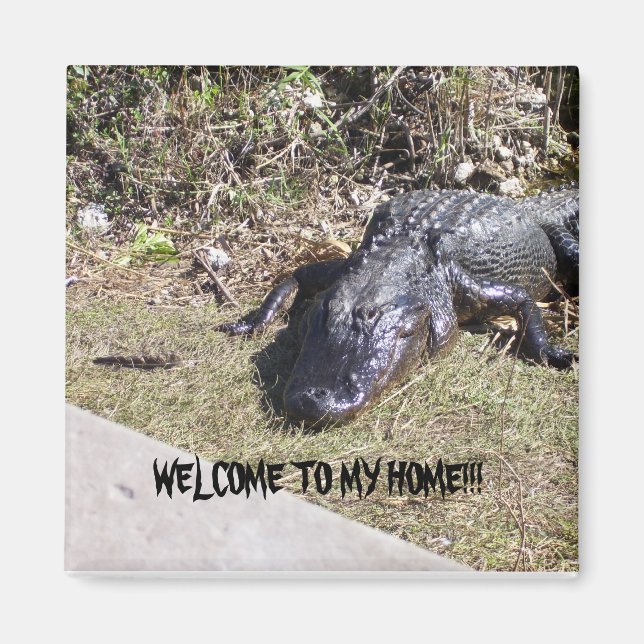 Svart Alligator Välkomnar Dig Till Hans Hem Magnet (Framsidan)