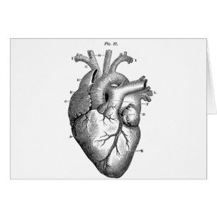 Svart Anatomical hjärta Hälsningskort