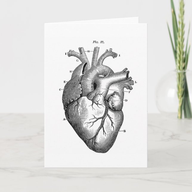 Svart Anatomical hjärta Kort (Framsida)