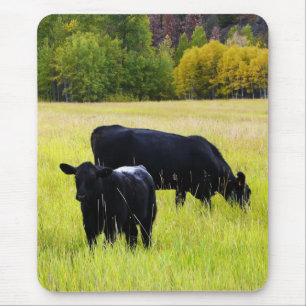 Svart Angus parar i fält Musmatta